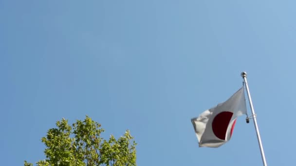 Flaga Japonii - zielone drzewo - błękitne niebo - słoneczny — Wideo stockowe
