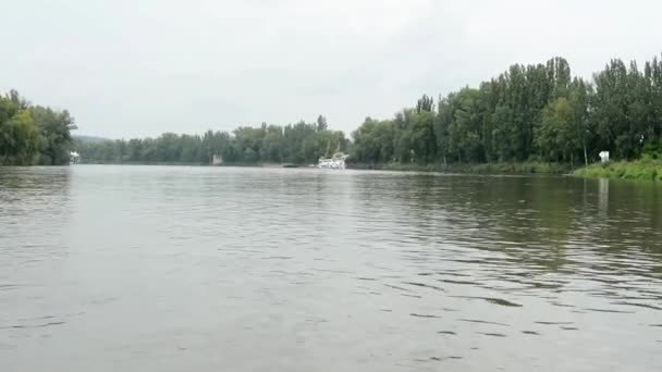 Natur - floden med träd och båt — Stockvideo