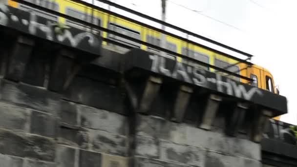 Bridge for train over the river - nature (trees) - passing train — Stock Video