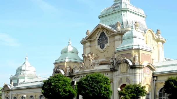 Malerisches historisches Gebäude - ehemaliges Museum - Bäume - blauer Himmel — Stockvideo