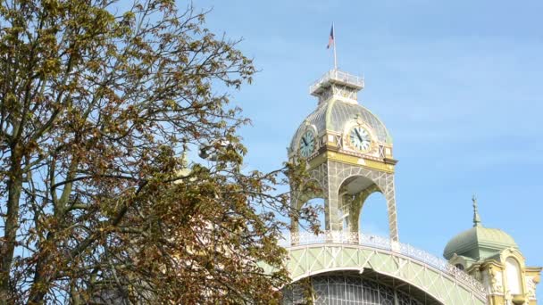 Historisches Gebäude mit tschechischer Fahne - umgefallenes Laub — Stockvideo