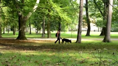 Kadın ile köpek park - ağaçlar