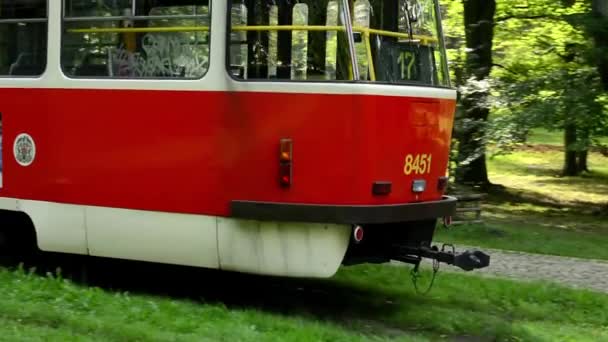 Passing tram in the park (trees) — Stock Video