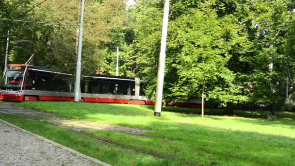 Tram in het park (bomen) - zonnige passeren — Stockvideo