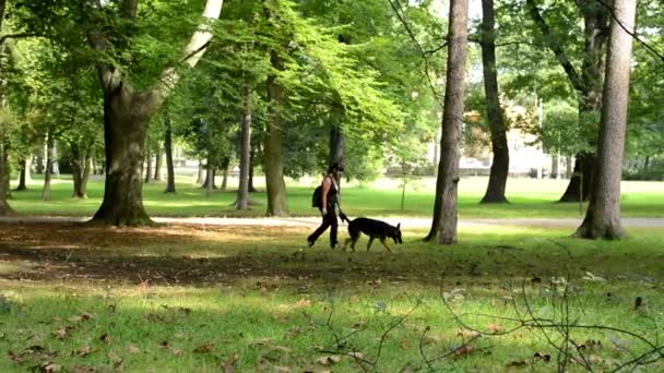 Женщина с собакой в парке - деревья — стоковое видео