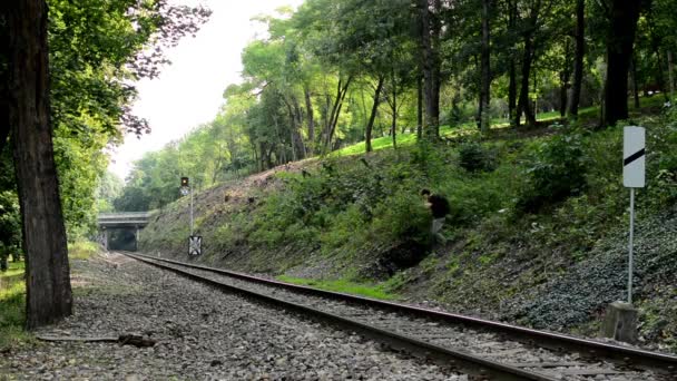 Mann läuft über die Gleise - Bahngleise im Wald - Bäume — Stockvideo