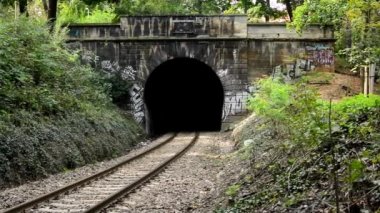 Tren ormanda - doğa için tünel