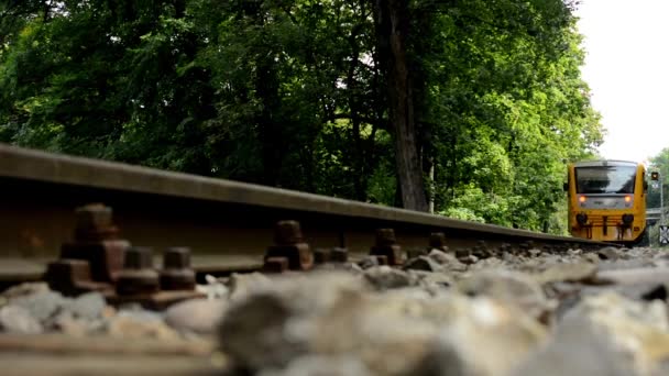 Поезд, проходящий через лес — стоковое видео