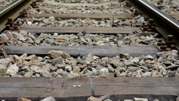 Il binario per il treno nella foresta - ponte - albero — Video Stock