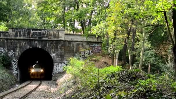 Zug fährt aus dem Tunnel durch den Wald — Stockvideo