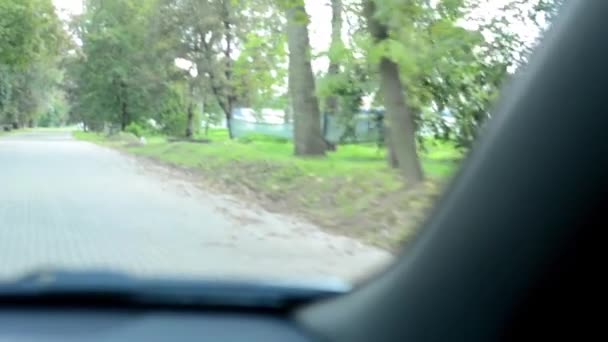कारमध्ये ड्राइव्ह डॅशबोर्ड आणि मागील दृश्य आरसा निसर्गासह रस्ता — स्टॉक व्हिडिओ