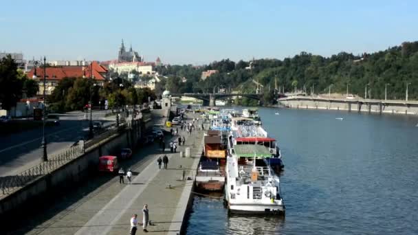 walking on cars waterfront