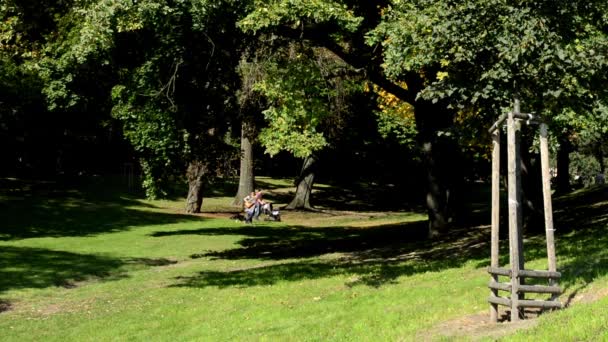 日当たりの良い公園の自然 (草と樹木) - 歩く人々 — ストック動画