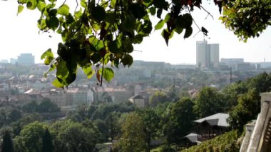 Şehri (güneşli doğa (ağaçlar) - ile bina)