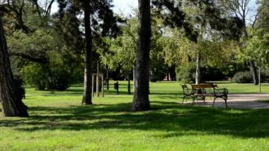 İnsanlar rahat park (oturma) - doğa (çim ve ağaçların) - tezgahları - kaldırım - güneşli