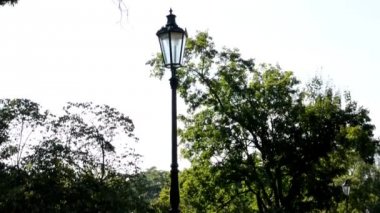 Park - yeşil doğa (ağaç ve ot) - sokak lambaları - kaldırım - güneşli - kimse