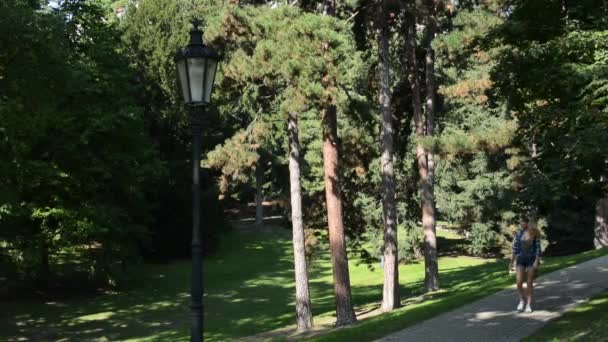 공원-포장-자연 (잔디와 나무)-써니에서 걷는 젊은 매력적인 여자 — 비디오