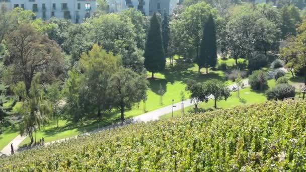 Viñedo - edificio de madera - parque (árboles y hierba) - personas caminando y sentadas en el parque - soleado — Vídeo de stock