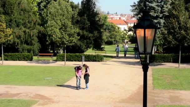 Parco - natura verde (alberi ed erba) - lampioni - sentiero e panchine - città (edifici) sullo sfondo - persone che camminano e si siedono - sole — Video Stock