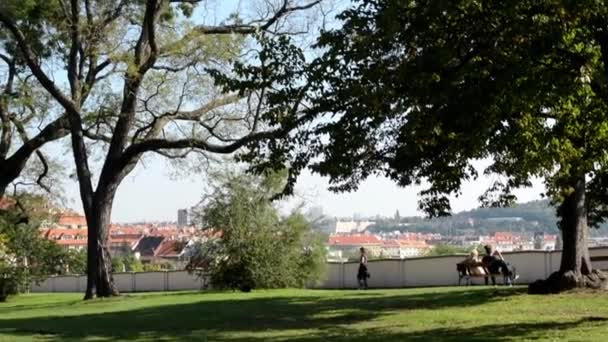 Люди відпочивають у парку (сидять і гуляють) - природа (трава і дерева) - місто (будівлі) на задньому плані - сонячно — стокове відео
