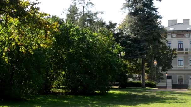 Park - yeşil doğa (ağaç ve ot) - sokak lambaları - kaldırım ve tezgah - güneşli - bina — Stok video
