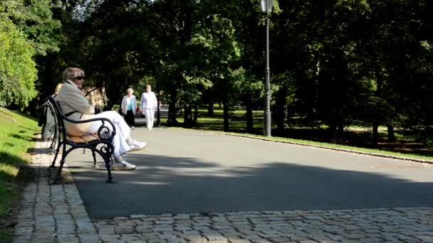 People (seniors) relax in the park (sitting and walking)- nature (grass and trees)  - pavement - sunny — Stock Video