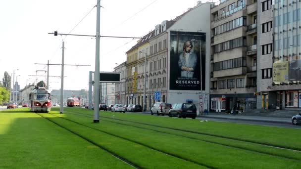 Stad: stedelijke straat - passeren tram - autos - gebouwen - groen gras — Stockvideo
