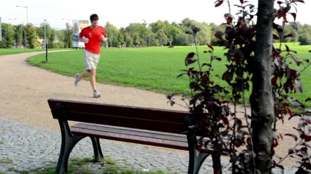 Les gens dans le parc (en ville) - nature verte (herbe et arbres) - chaussée - patineurs à roulettes et coureurs — Video