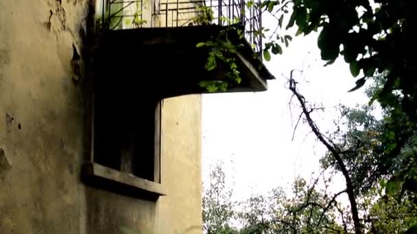 Velha casa abandonada - varanda - natureza (árvores) - edifício coberto de natureza — Vídeo de Stock