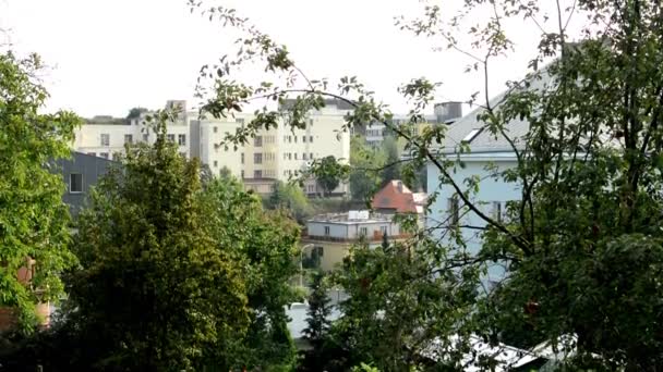 Сад - зелена природа (дерева) - будівлі, що проходять автомобілі на задньому плані — стокове відео