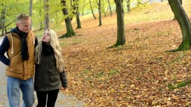 Joven modelo pareja enamorada - parque de otoño (naturaleza) - pareja (hombre y mujer) caminando en el parque - pareja cogida de la mano - pareja hablando - feliz pareja — Vídeo de stock