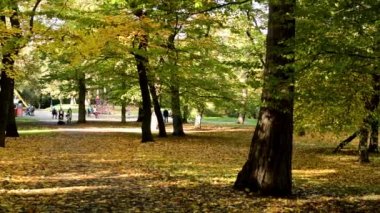 Panorama sonbahar park (ağaçlar) - düşen yapraklar - insanlar - arka planda Bahçesi