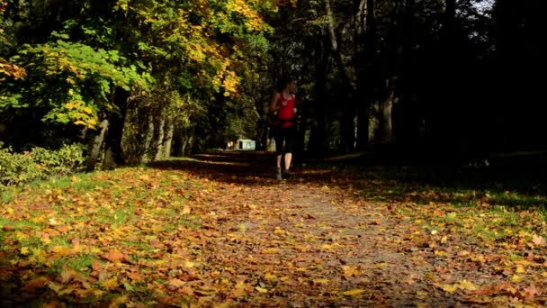 Otoño parque (árboles) - mujer corre (deporte) - hojas caídas - soleado — Vídeo de stock