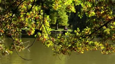 Panorama gölet Park (orman - ağaç) - güneşli