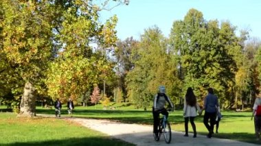 Sonbahar park (ağaçlar) - insanlar yürürken, insanlar (sakin) ve bisikletçiler - yol - düşmüş yaprakları - güneşli