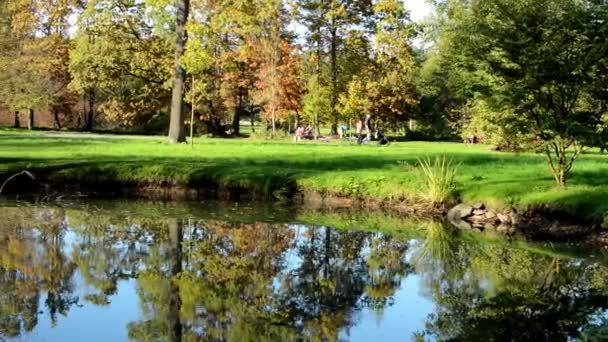 Autumn park (trees) - people relax - lake with reflection - family and friends - grass (sunny) — Stock Video