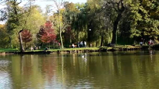 Panorama of pond in park (forest - trees) - sunny - blue sky - people walking (relax) - bench — Stock Video