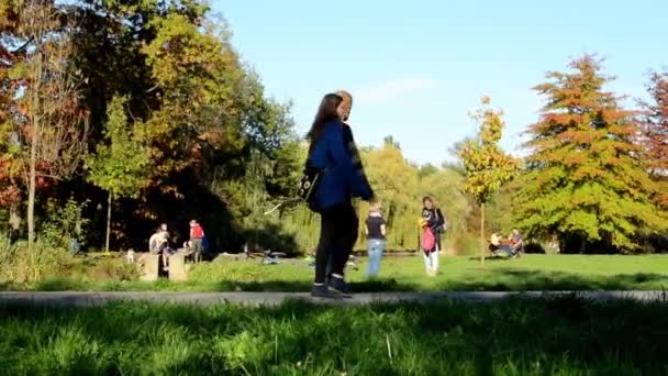 Herfst park (bos - bomen) - mensen lopen (familie en vrienden) - traject — Stockvideo