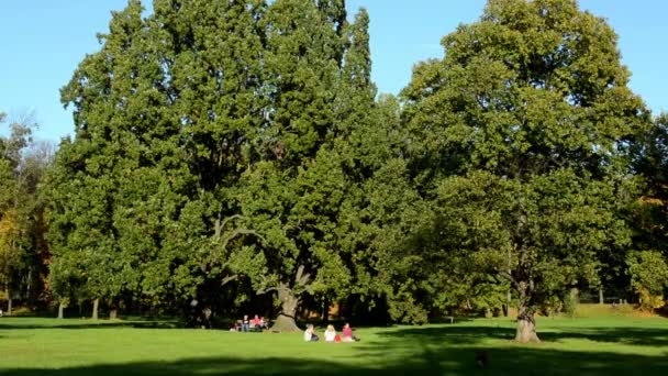 Parque de otoño (árboles - bosque) - la gente se relaja - soleado - cielo azul — Vídeos de Stock