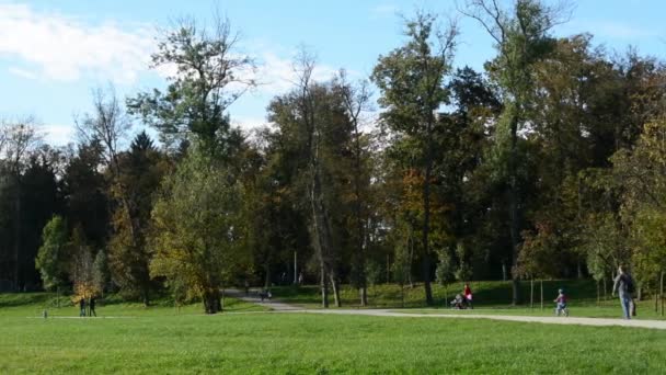 Parque de otoño (árboles) - personas caminando (relajarse) - camino - soleado — Vídeo de stock