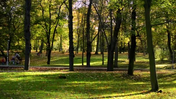 Осенний парк (деревья) - люди ходят пешком (расслабиться) - тропа - опавшие листья - солнечные лучи (солнечные ) — стоковое видео