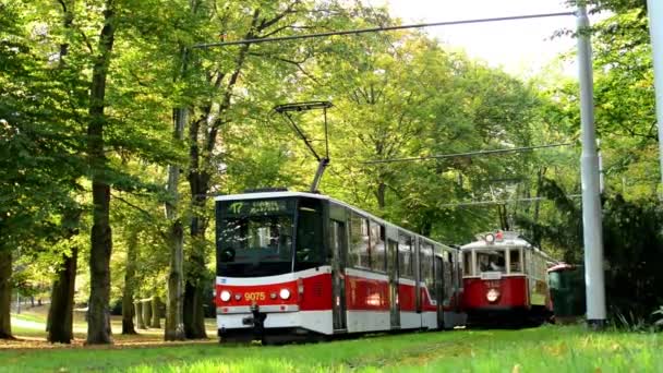 Vintage tram in station - park (bomen - bos) — Stockvideo