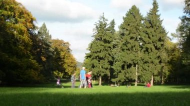 Sonbahar park (orman - ağaç) - insanlar sakin ol - çimen - çocuk oyun - aile yürüyüş