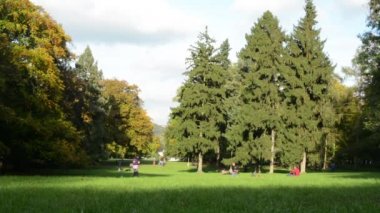 Sonbahar park (orman - ağaç) - insanlar sakin ol - çimen - çocuk oyun