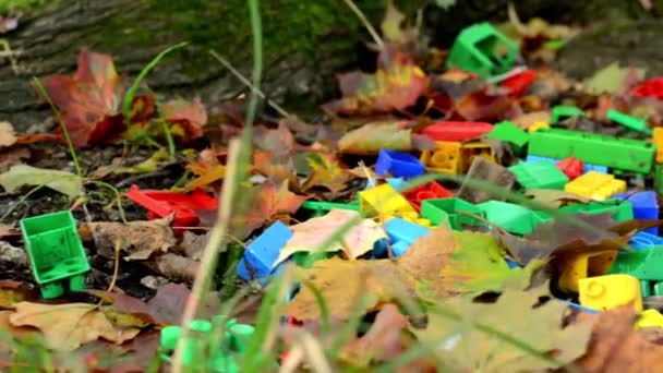 Vak van bakstenen (stuk speelgoed) in herfst park - gevallen bladeren - closeup — Stockvideo