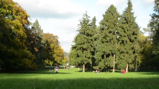 Höstens park (skog - träd) - människor relax - gräs - barn spelar — Stockvideo