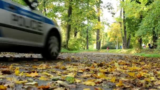 Coche de policía - Hojas caídas en la carretera - Parque de otoño (bosque - árboles) - personas de fondo — Vídeo de stock