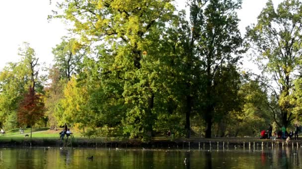 Осінній парк (дерева) - люди відпочивають - озеро з качками - сім'я і друзі на задньому плані - лавка — стокове відео