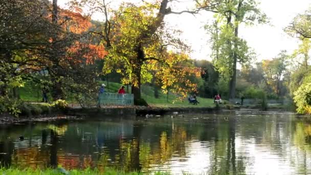 Autumn park (trees) - people relax - lake with ducks - family and friends in background - bench
