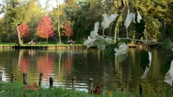 Otoño parque (árboles) - la gente se relaja - lago con patos - familia y amigos en el fondo - banco — Vídeo de stock